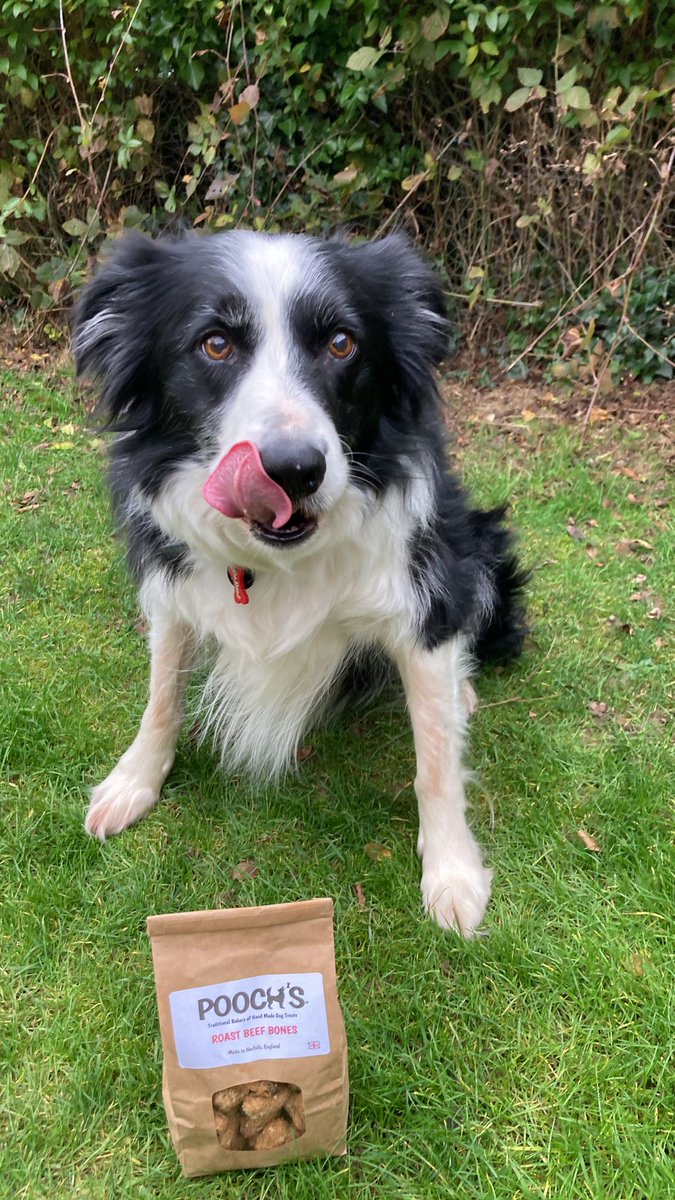 We are delighted to now stock <a href="/PoochsTreats/">Pooch's Dog Treats</a> dog treats at our Burnham Deepdale store. 

Additive free, low in fat, and tasty for dogs of all ages, shapes, and sizes. They're so good, we even give them to our own dogs, like Noah the Collie. 

<a href="/DalegateMarket/">Dalegate Market | Shopping & Café</a> <a href="/EarthlyIdeas/">Jason Borthwick 🌍</a>