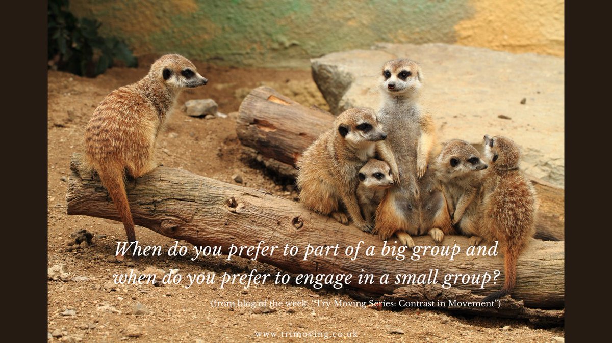 trimoving's tweet photo. When do you prefer to be part of a big group and when do you prefer to engage in a small group?
From blog of the week: https://t.co/l8u1DlY4DJ
#blog #blogoftheweek #writer #mentalhealth #motivation #trymoving #nlp #contrast #contrastmovement #biggroup #smallgroup https://t.co/u3HluCZKHy