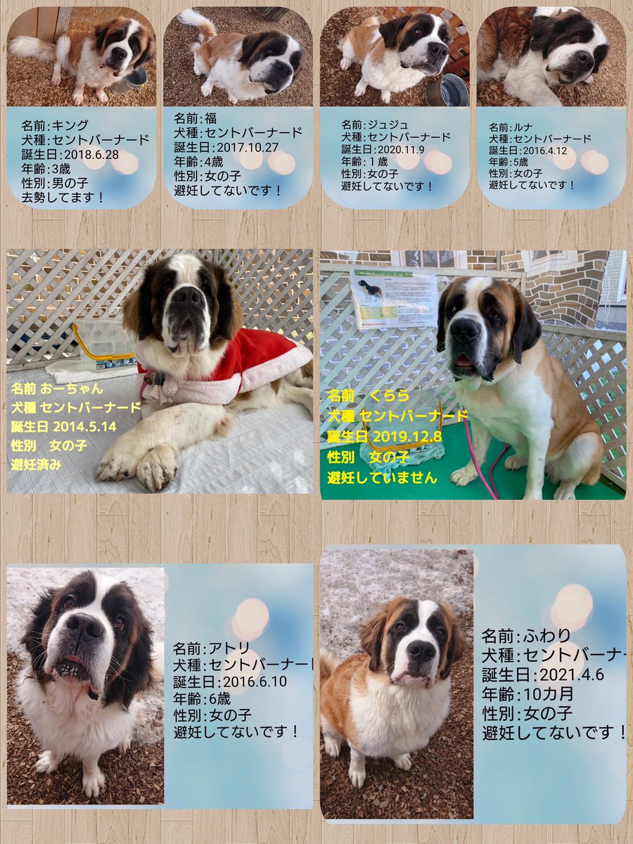 紫 Know3rdi Twitter