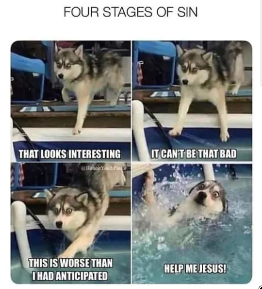 x3jesuslovesyou's tweet photo. JW Memes: Relax and laugh out loud 🤪😂💚 #LOL #WeFollowBack #Motivation #Leadership #TrendsToday https://t.co/sTUfyOQQHv