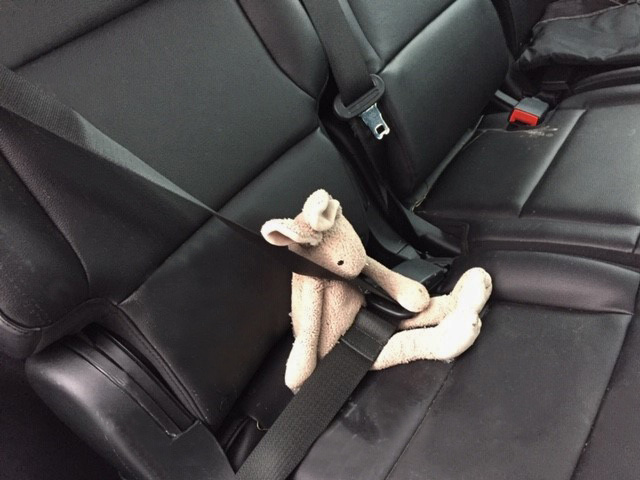 A customer spotted this lost bunny from a passing bus and worried that it’s very important to someone. The bunny has been rescued from the shelter at Belmont and Highland, and is safe at lost and found. Please share to help us reunite the #lostbunny with its owner!