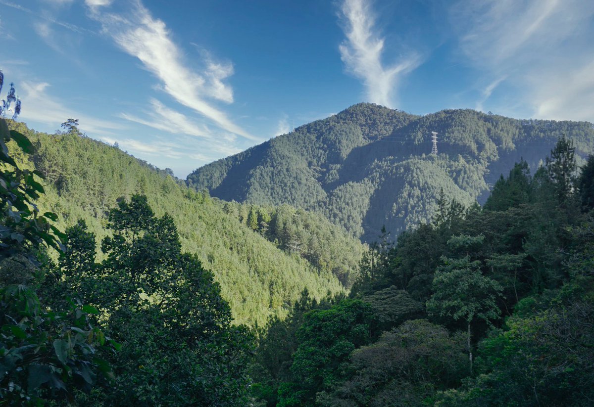 OpEPA's tweet photo. Es importante el compromiso que han asumido los 5 departamentos que más emisiones de carbono generan en el país. Deseamos que estas visiones que han trazado, sean una realidad para lograr la mitigación y adaptabilidad de los territorios frente al #cambioclimático. #HagámosloReal https://t.co/Fz8ZUrcfKO