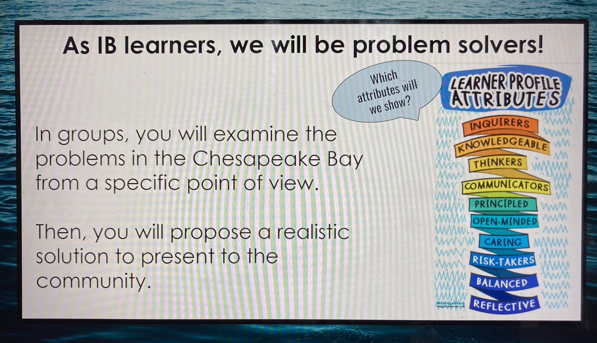 Mrs. Wilcox’s 5th Grade tweet media