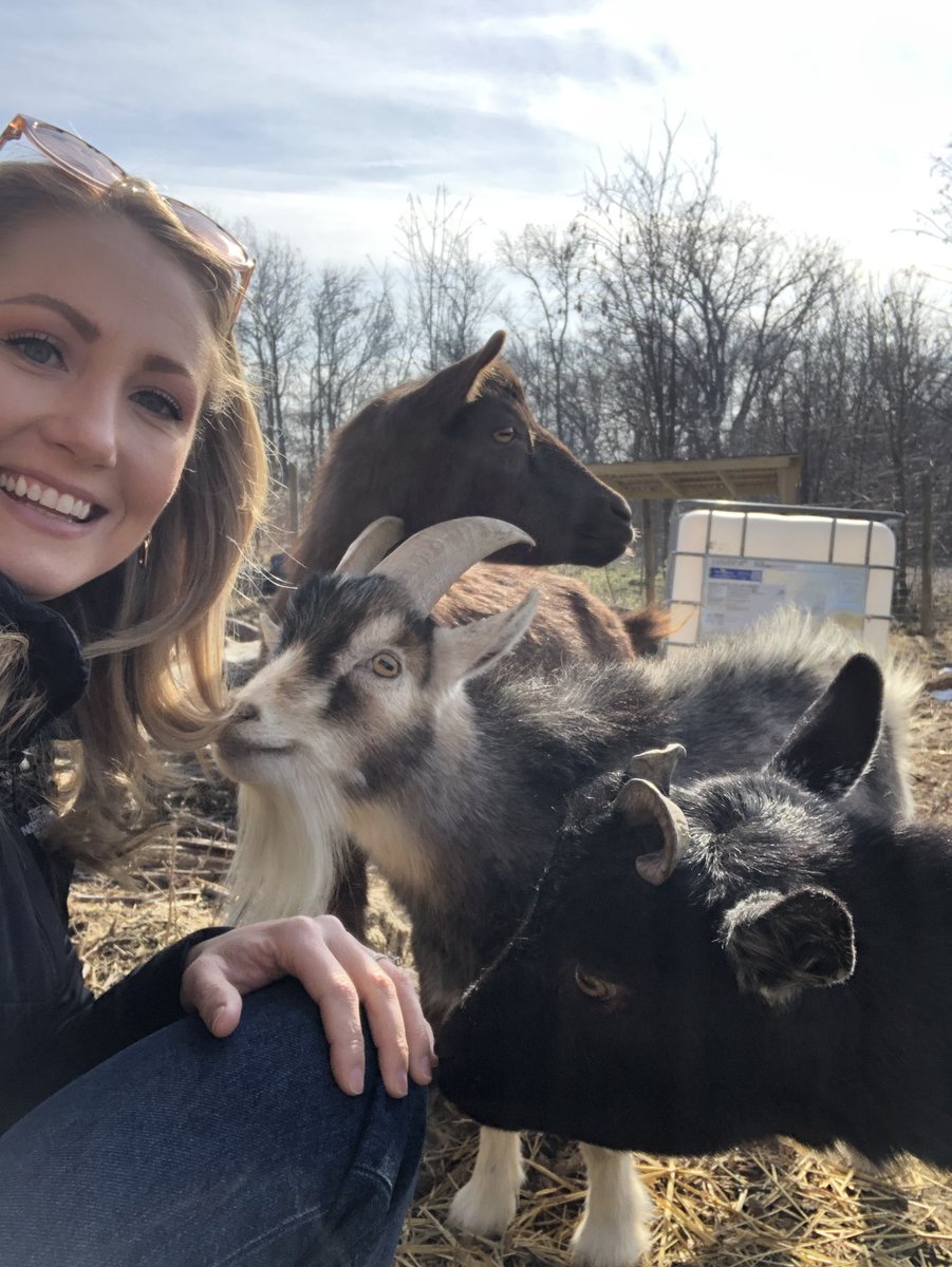 MaxineStreicher's tweet photo. My cute interview subjects yesterday. @SeanStreicher is jealous of Bagel’s beard. Can’t blame him. https://t.co/Ri2UFFlyc8