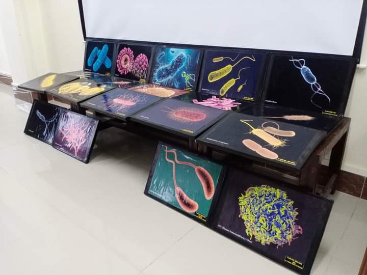 CDC_MicroBio's tweet photo. 3D Pictures Exhibition at department of Microbiology University of haripur KPK Pakistan. https://t.co/NIZfkqXsCb
