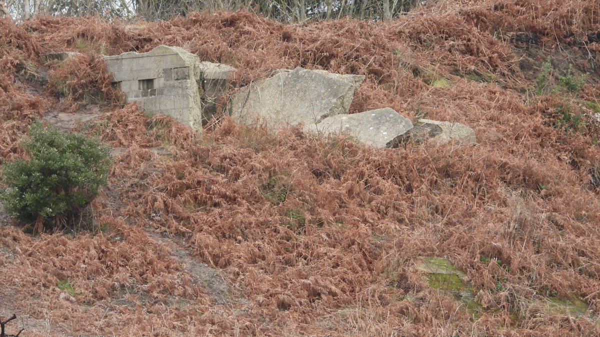 seuneke's tweet photo. Today's walk was on Gunton Beach to see what is going on. These are some of the pillboxes. #swt @SWTCarltonMarsh @SWTBroadsWarden #ww2pillboxes https://t.co/rqnkENiekS