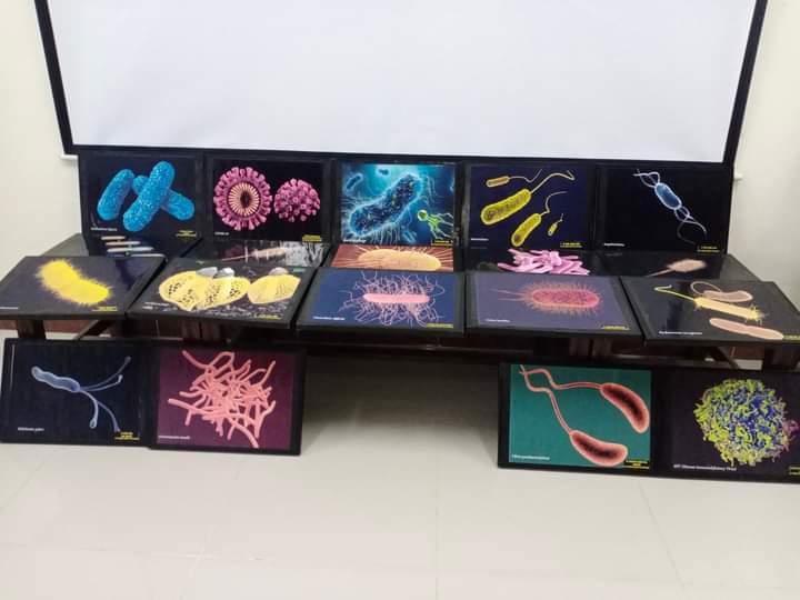 CDC_MicroBio's tweet photo. 3D Pictures Exhibition at department of Microbiology University of haripur KPK Pakistan. https://t.co/NIZfkqXsCb