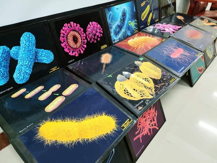 CDC_MicroBio's tweet photo. 3D Pictures Exhibition at department of Microbiology University of haripur KPK Pakistan. https://t.co/NIZfkqXsCb