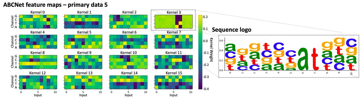 Christopher JF Cameron (he/him/his) tweet media