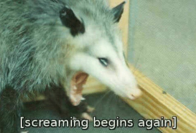 MamaJanky's tweet image. I’m getting #FallProject ptsd flashbacks💀💀 cause yet again we weren’t even asking for music, then it was teased, and boom now it’s silence 💀💀