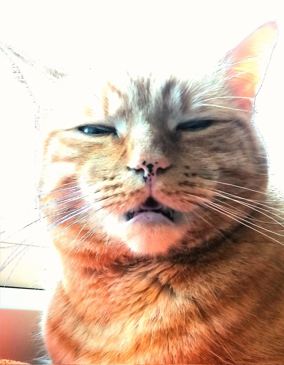 My inspiration, my number 1, my v own ket kat 😍❤️👹