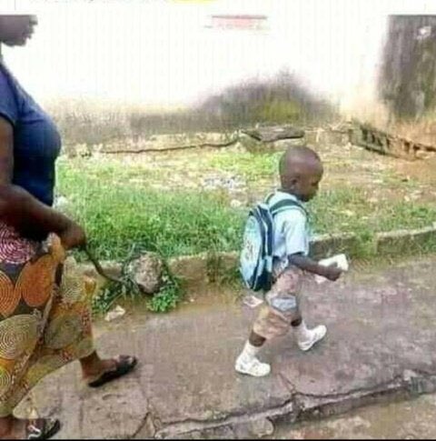 DandaroOnline's tweet photo. Behind every successful man, there is a woman behind. Uyo akabata shamhu  uyo😂

#DandaroOnline   #BuyaSikwejise🇿🇼
#HuyaTitandare🇿🇼 https://t.co/d7kR2brZfI