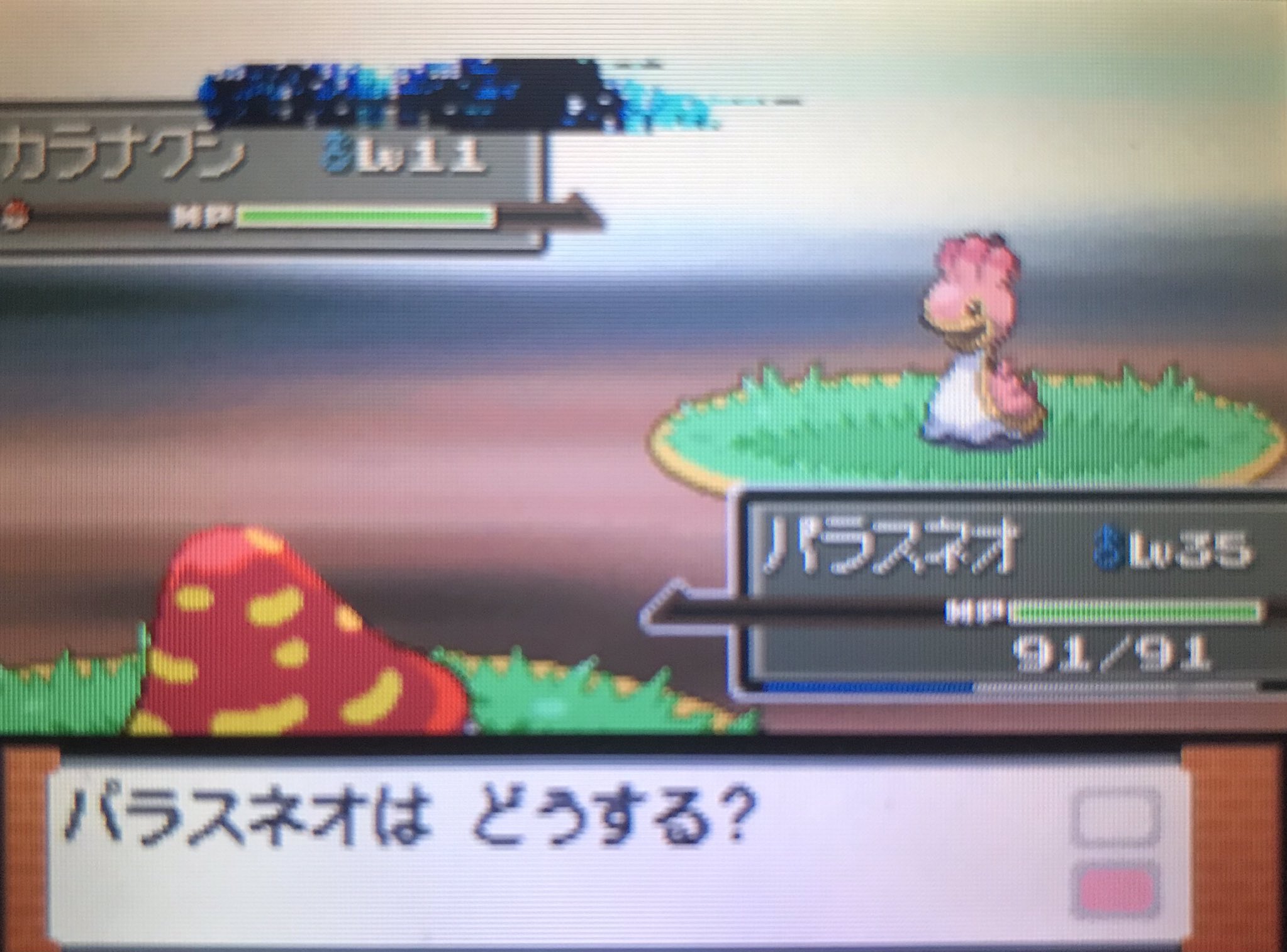 アダン Gen4pomeg Twitter