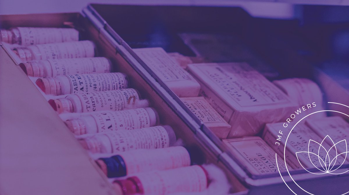 A nurse for a Licenced Producer? As another way to stand out, JMF's the 1st to offer a nurse."Ultimately, I want to help patients improve their treatment to the best of their ability, in the shorter period.I wanna be close to the patients, where nurses belong"CannabiNurse💜