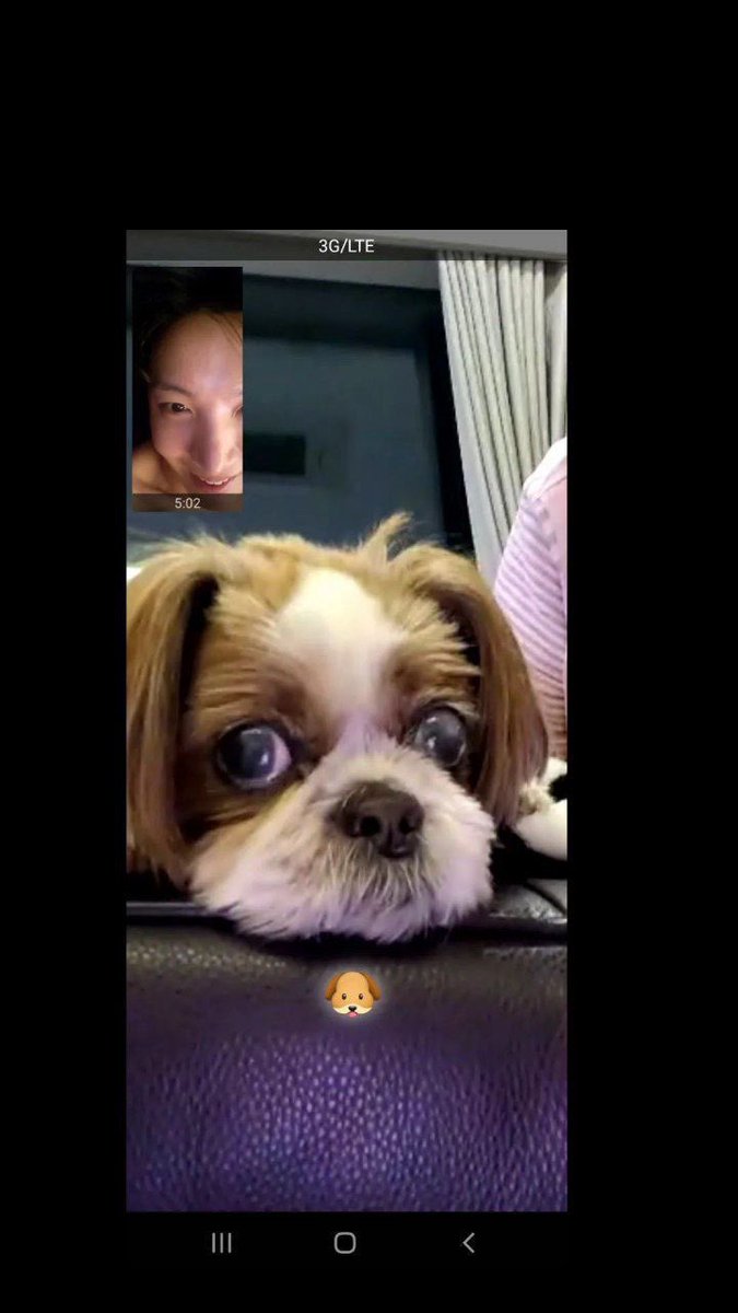 armysyoungforev's tweet photo. #uarmyhope post on #Instagram_ Story
🐿: 🐶
Looks that #JHOPE and #MICKEY had a FaceTime
#revistade_Tae #ArmysYoungForEverUSA @revistadetae https://t.co/vCCeTcyIHa