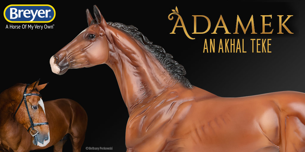 AkhalTekeFound's tweet photo. Akhal-Teke dressage stallion Adamek, a #BreyerModel, is available to order from ⁦@breyerhorses⁩ now!

https://t.co/LdTH69ntRd

#akhalteke #dressage #stallion #Adamek ❤️ https://t.co/J8ESSDsmH2