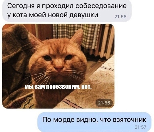 tw_sms's tweet photo. https://t.co/61KKvjcUb1