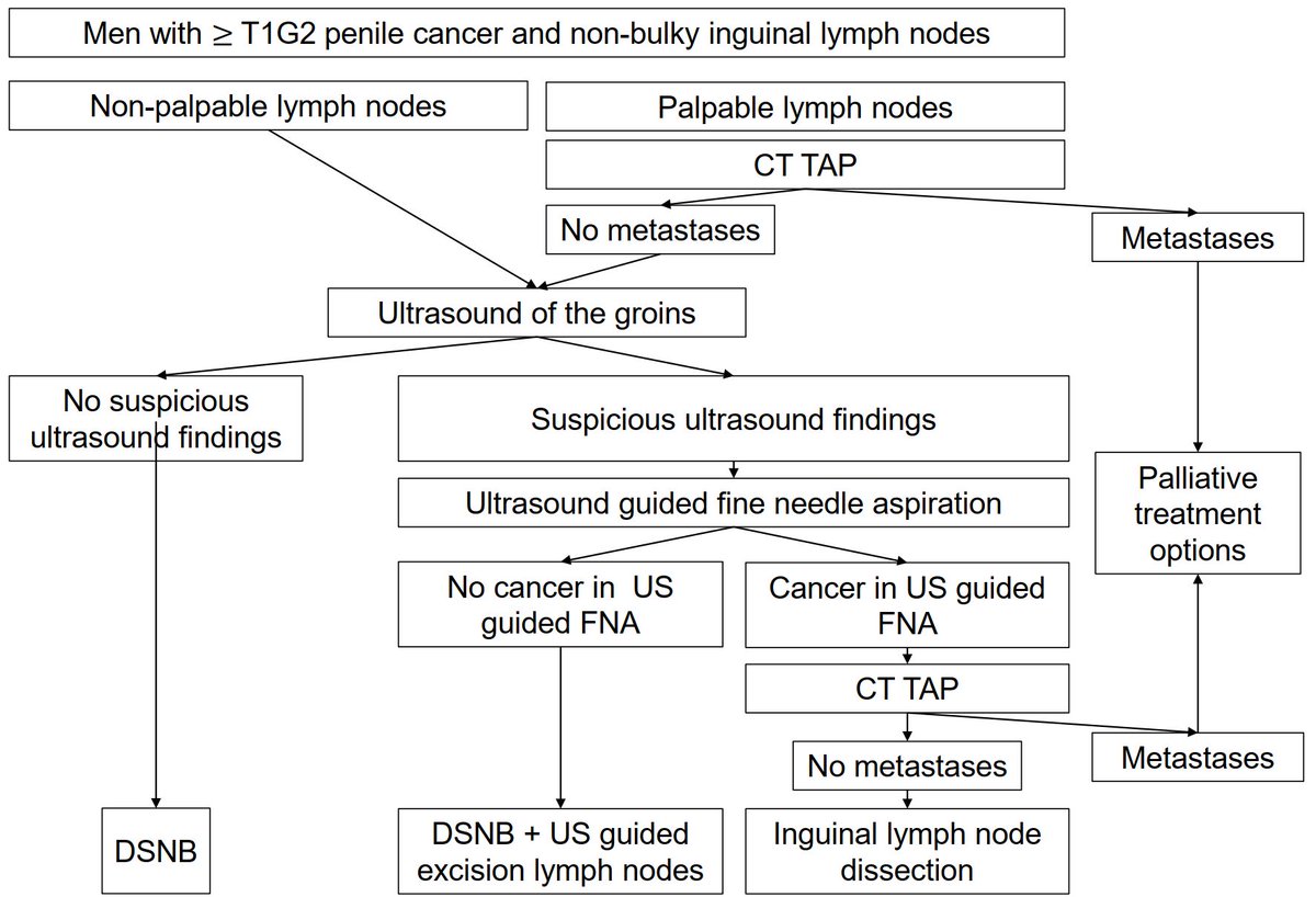 Christian D. Fankhauser tweet media