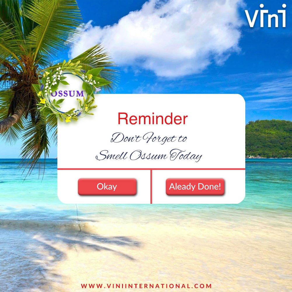 VINI International tweet media