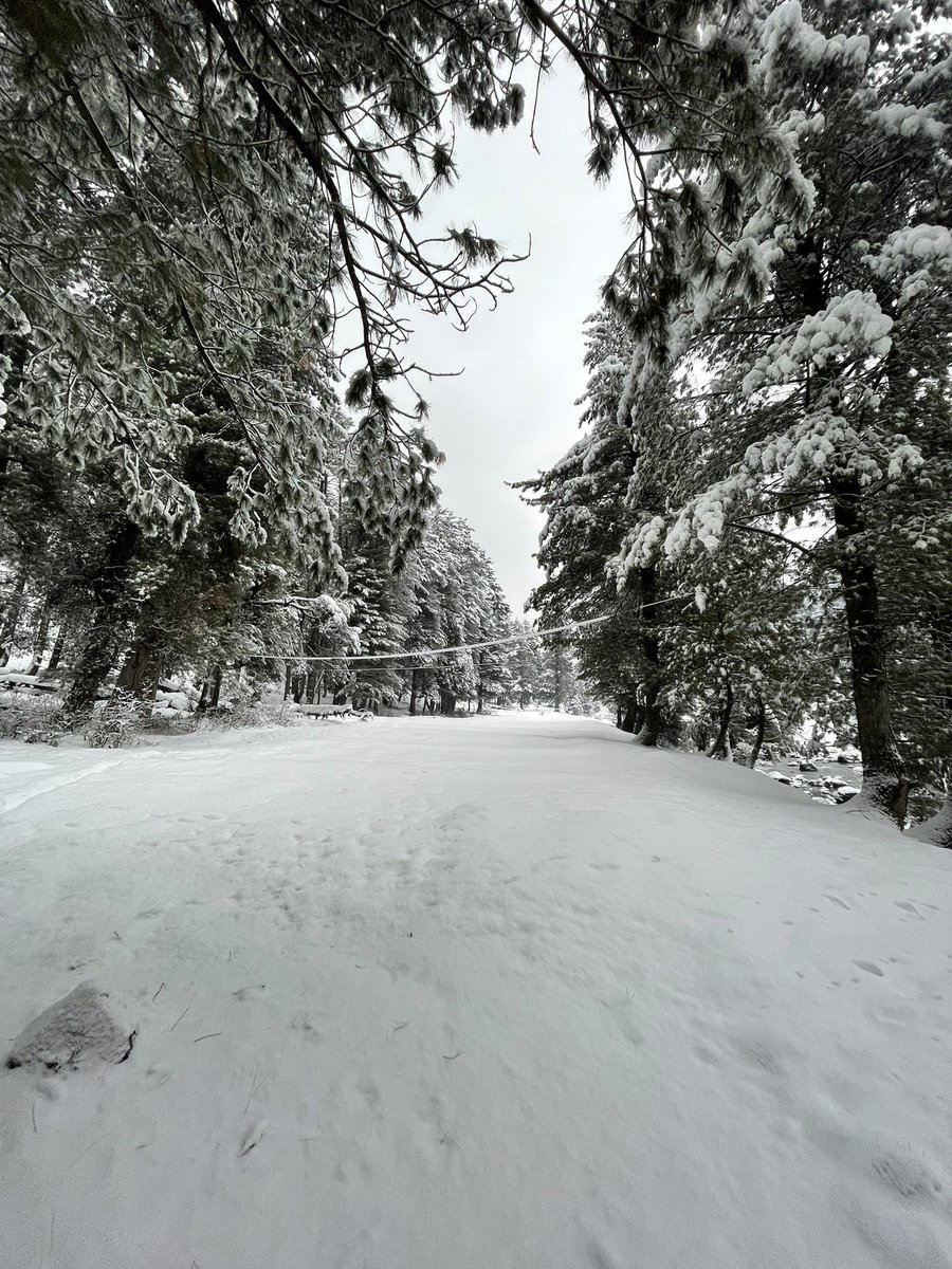 gautam padmanabhan tweet media