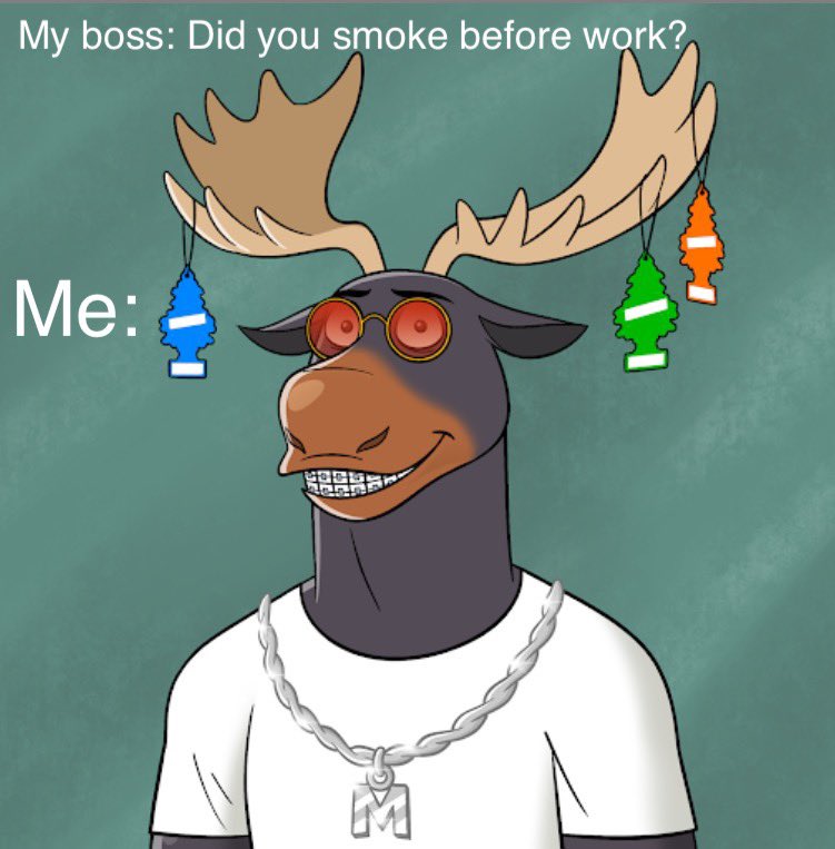 Meh the moose tweet media