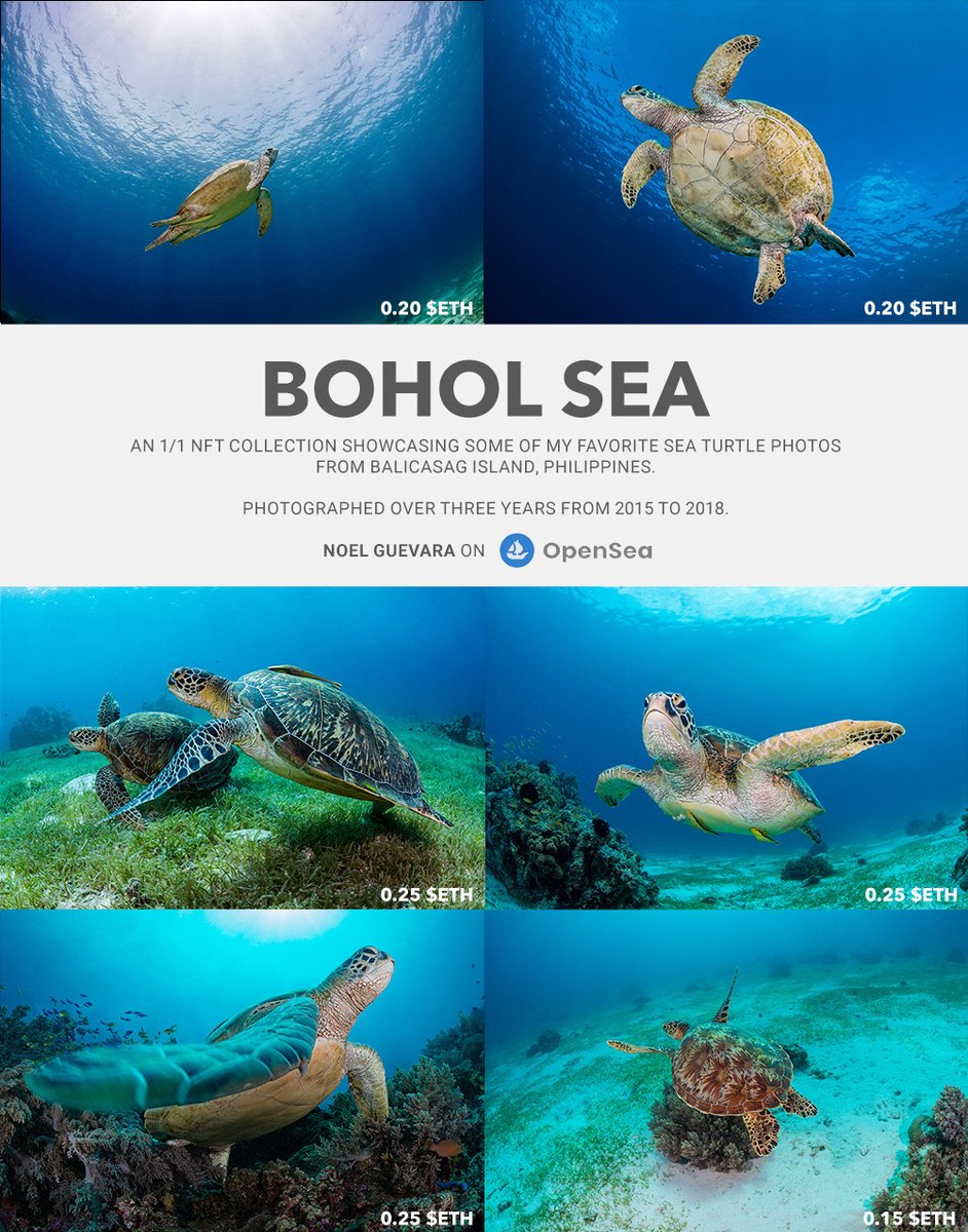 nguevaraphoto's tweet image. 1/11 Today, I'm proud to drop my latest collection on @opensea called "Bohol Sea" (0.15 - 0.25 $eth). Read on for details and why this drop is so significant for me. A 🧵

LINK BELOW⬇️
(Would also appreciate RT/QT!)