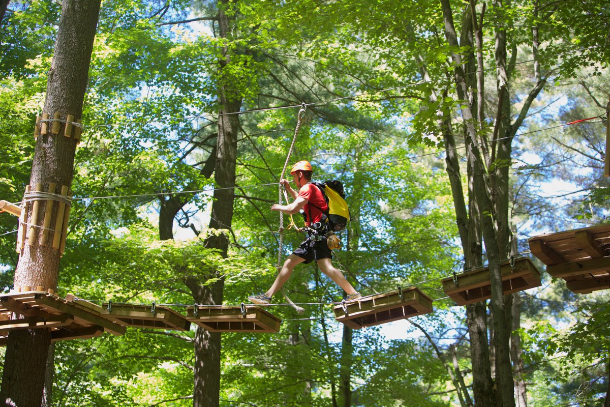 NEWS - Today #StLawrenceParks announced that <a href="/TreetopTrekking/">Treetop Trekking</a> has been chosen to operate and maintain <a href="/SkywoodZip/">Skywood Eco Adventure</a>, a move that will enhance the property’s operational efficiency and long-term sustainability. 

Learn more ➡️ bit.ly/34rY0eS