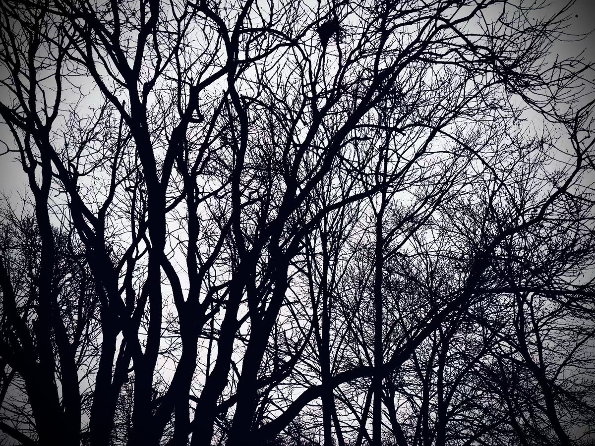 Watchtheweather🌪🌬❄️⛈ tweet media