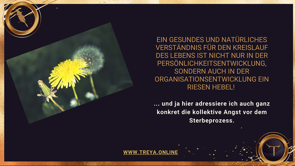 Treya_SK's tweet photo. New Blog Post: Warum die Angst vor dem Sterbeprozess auch in Organisationen eine hohe Relevanz hat... https://t.co/VmgBzxf7oD https://t.co/JaSXbUn5Ad
