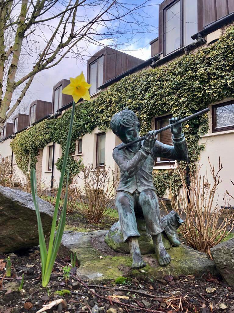 It’s beginning to look a lot like spring 💐 🪴The first signs of growth are starting to appear at ScholarLee Bishop Street! We can’t wait until our gardens start to bloom again in the coming months🏡👨‍🎓🧑‍🎓🏡 #esg #cork #pbsa #scholarleecommunitygreen