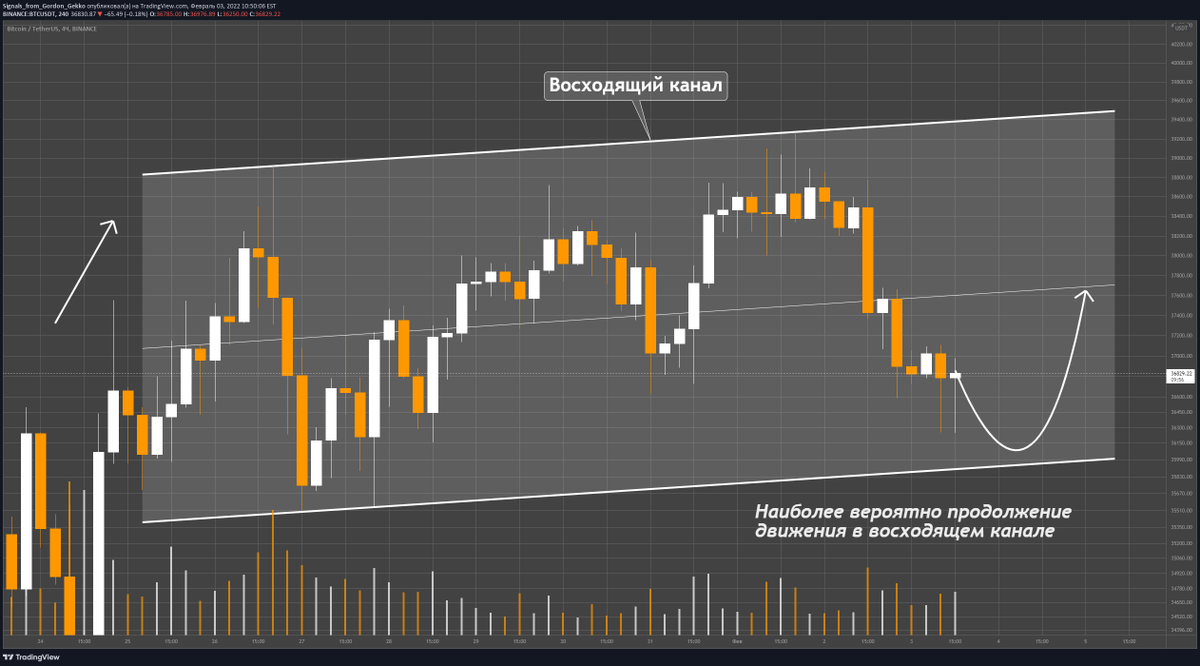 Signals From Gordon Gekko tweet media