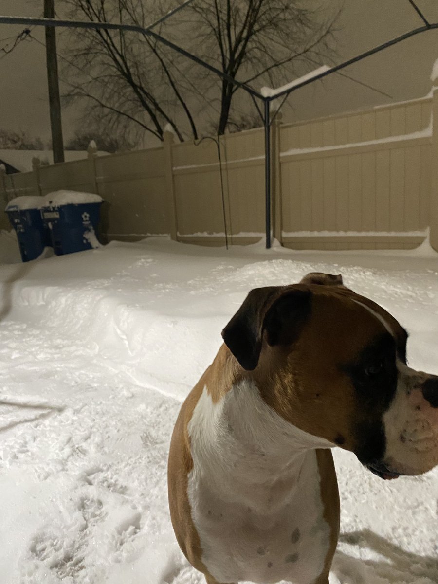 Julissa_111's tweet photo. Snow day! 🌨 made a little path way for Rudy #Elearning #snowday @AstroworldMedia @tvteacherpelini https://t.co/FCxsCbWRST