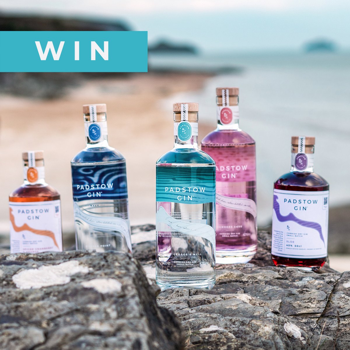 The Padstow Wine Co (@PadstowWineCo) / Posts / X