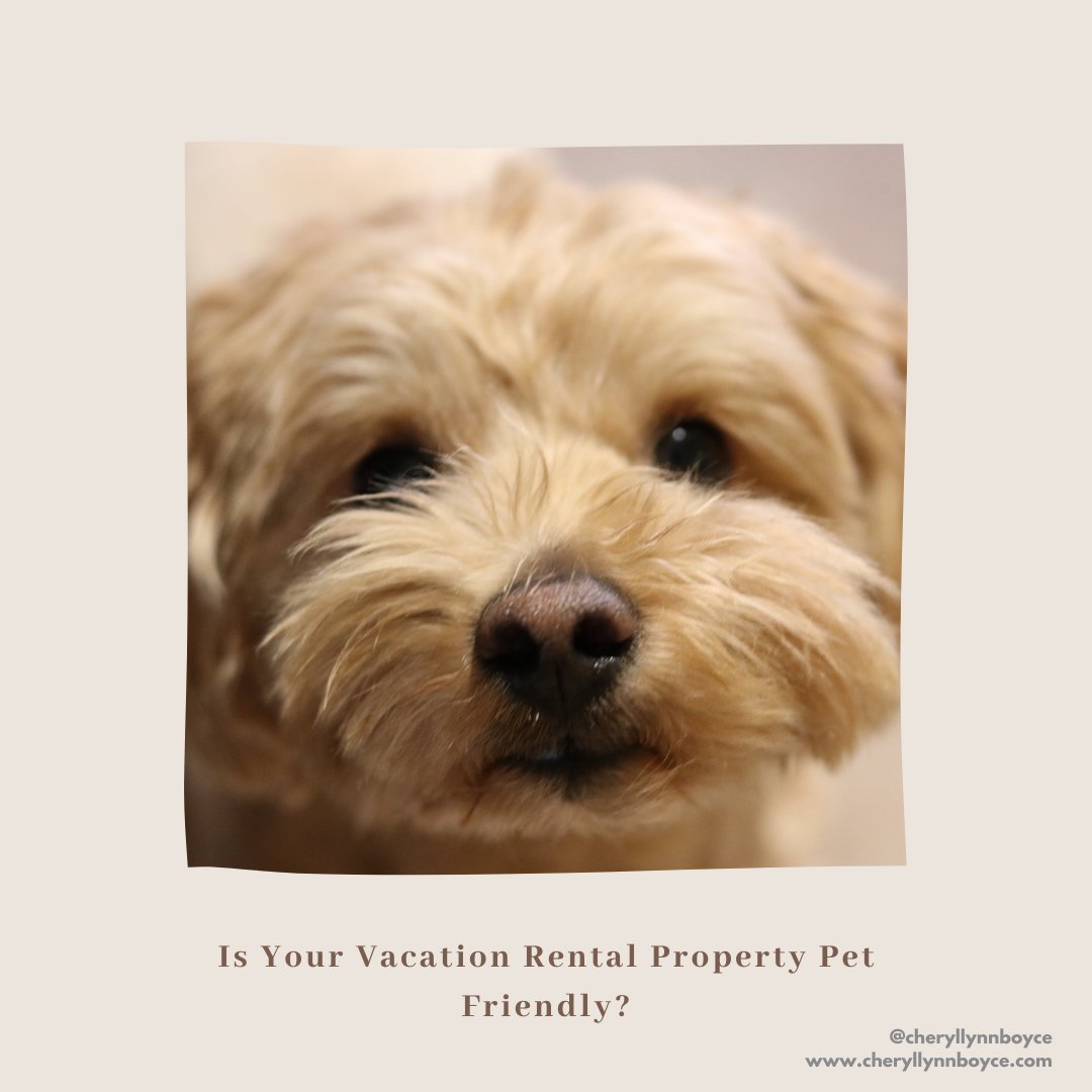 FreedmCulturinc's tweet photo. If you're looking to capture more of the market, deciding to become pet friendly is a sure way to increase bookings.

 #strmarketing #digitalmarketing #vrcopywriting #copywriting #copywriter #vacationrentalmarketing https://t.co/gtUnBDUoWH