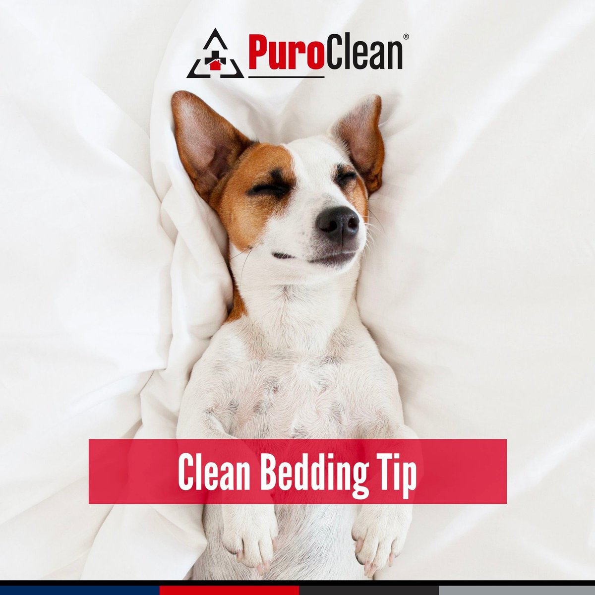 Basic cleaning tasks can improve your home's air quality quickly and easily. One way to reduce the amount of dust in your home is to wash bedding on the hottest water setting. Don’t forget to regularly wash pet bedding, too! 
#CleaningMotivation
#CleaningTips
#DeepCleaning