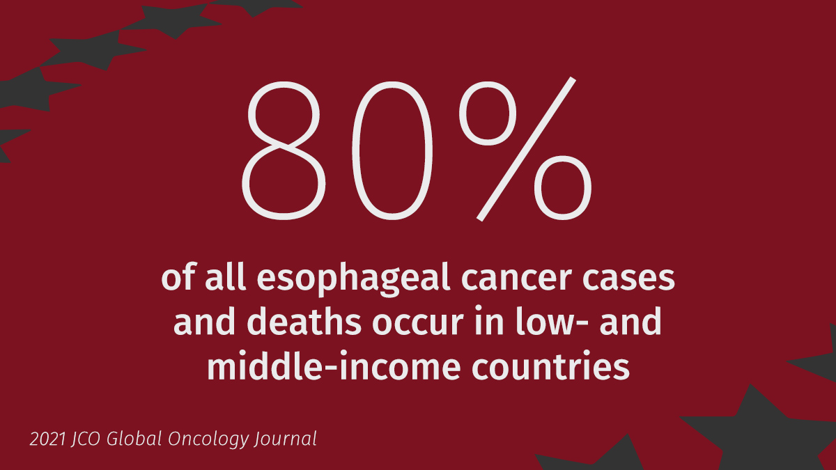 CHAI_health's tweet photo. Esophageal cancer is the 6th most common cause of cancer-related mortality worldwide. More than 80% of cases and deaths occur in low-and-middle income countries. Read about CHAI and #AfrECC efforts to solve this @AORTIC_AFRICA: https://t.co/LjFNwA1ouU
#WorldCancerDay https://t.co/OH9fyW72r3