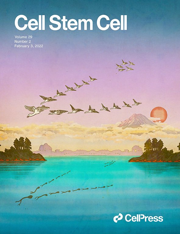 Sergiu P. Pasca tweet media