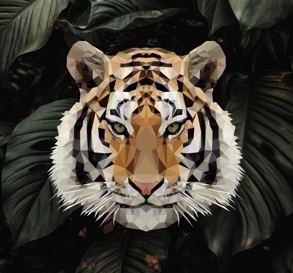 CElliottDesign's tweet image. I know I am a few days late for this really but in honour of Chinese New Year and the Year of the Tiger I thought I would share my low-poly tiger illustration, grrrr. Happy Chinese New Year!

#graphicdesign #lowpoly #chinesenewyear #yearofthetiger #tiger