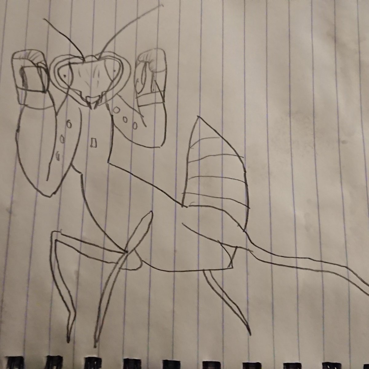 MMutteri's tweet photo. Kickboxing mantis sketch

#sketch
#kickboxing
#mantis https://t.co/kyBPoCFmj8