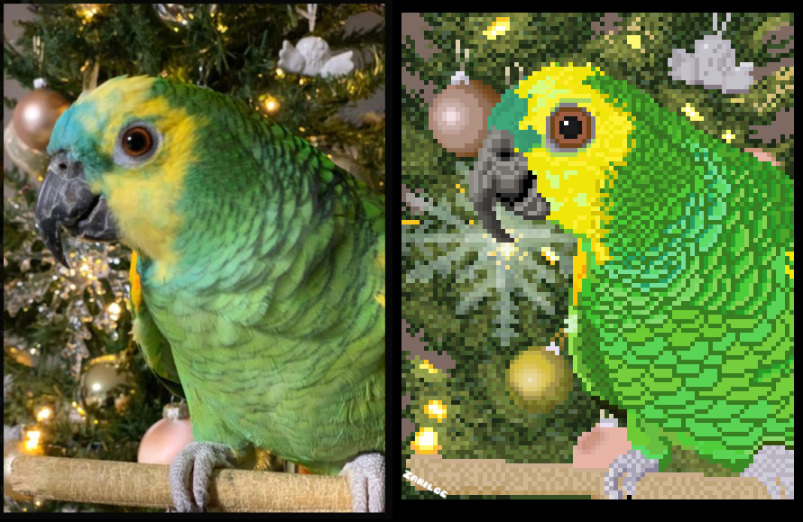zariloc's tweet photo. A gift for a follower 🙂
He's happy so am I 😊

Side-by-Side comparison with reference

#pixelart #aseprite #parrots https://t.co/beh3E8ACMI