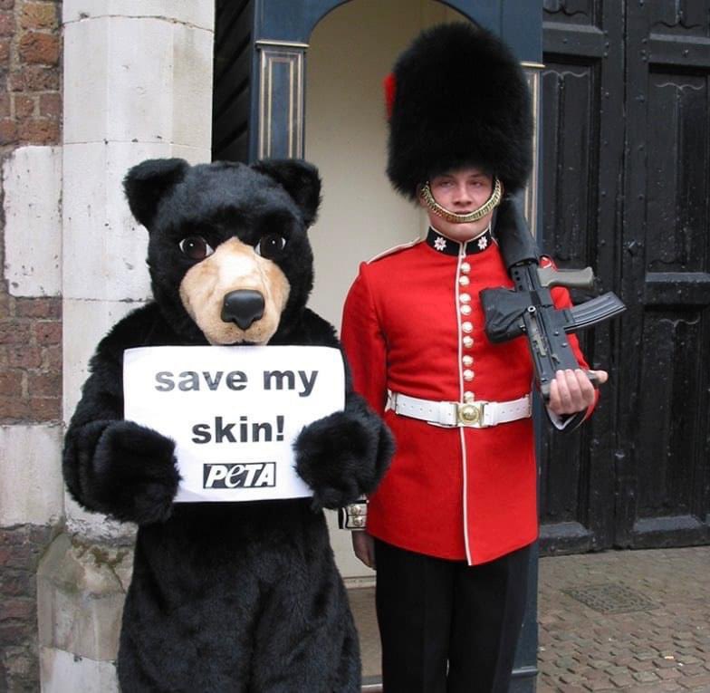 Boris Johnson gives his support to the continued killing of black bears in Canada for ceremonial hats for British Army <a href="/PETAUK/">PETA UK</a> <a href="/LBC/">LBC</a> <a href="/theousherwood/">Theo Usherwood</a>