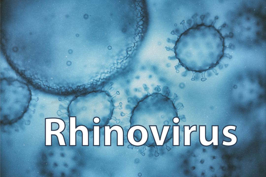 How many times can you catch it?? Less talked about than #Covid but not without its own challenges, our #virus of the month is #Rhinovirus.
virologyresearchservices.com/2022/02/02/the…
#antivirals #research #vaccines