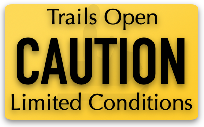 SnoSurfers_SC's tweet photo. 02/03/2022: Trails are open with a few inches of fresh snow. Watch for water and wet spots, stay between the stakes, and report any issues you find. Watch out for groomers tonight. #trailreport https://t.co/DTYAbgXelH