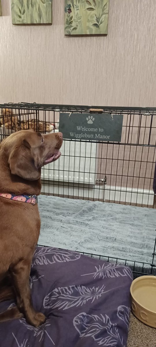 OK. Now they are just taking the proverbial 😤😤😤