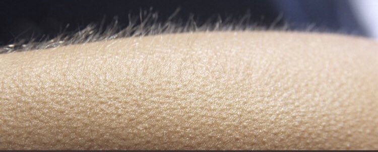 rav3eclissi's tweet photo. poetica è poesia #festivaldisanremo22 https://t.co/NkzAlDEiGe