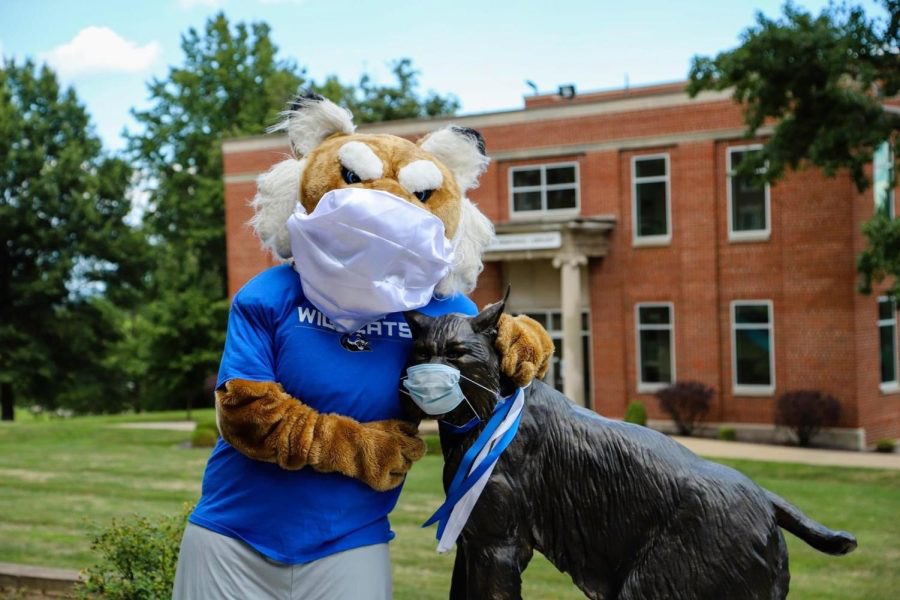 Culver-Stockton Wildcat Wire tweet media