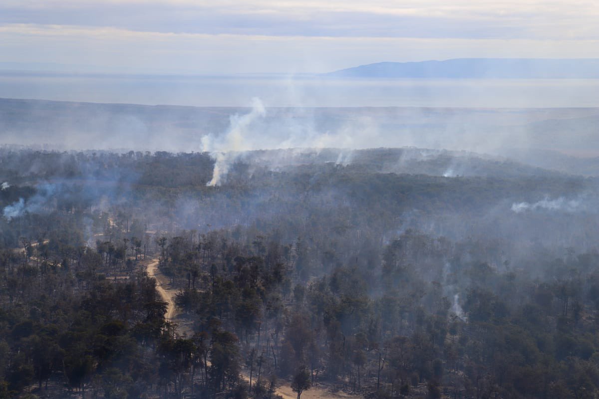 meryundurraga's tweet photo. Llegando de Timaukel donde estuvimos en terreno junto a @conaf_minagri y @DPRMagallanes coordinando las tareas de combate de este complejo incendio forestal que suma 1.235 hectáreas afectadas. https://t.co/AyoFcpEj9c