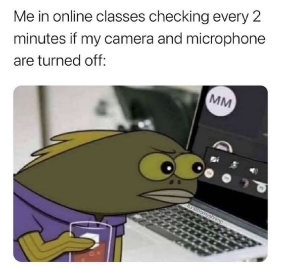 WholesomeMeme's tweet photo. https://t.co/prSzqCUxHf
