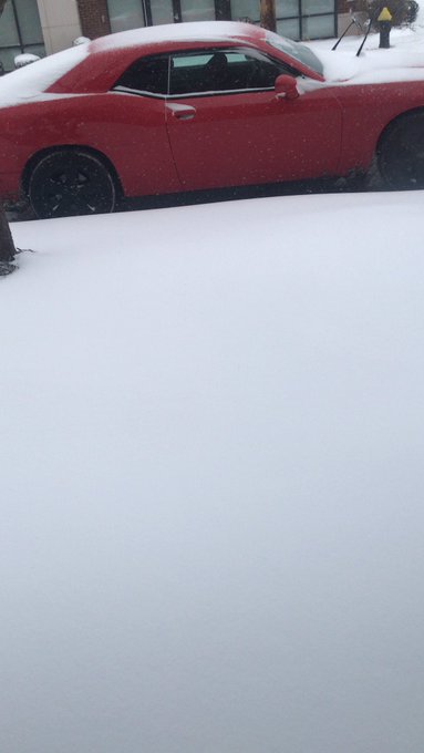 Posted All Day Snow Daze 😩😔 https://t.co/Qcxxgk7Dnv<a href="/tag/baggchaserrss"class="tags"><span>#baggchaserrss</span></a>