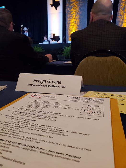 Past ANCW President <a href="/Alabeefgal/">Evelyn Greene</a> is participating on the NCBA Executive committee representing ANCW in the Board of Directors meeting in Houston, TX,  as we direct the business of the Nations cattlemen and cattlewomen.
#beef4generations 
#CattleCon22